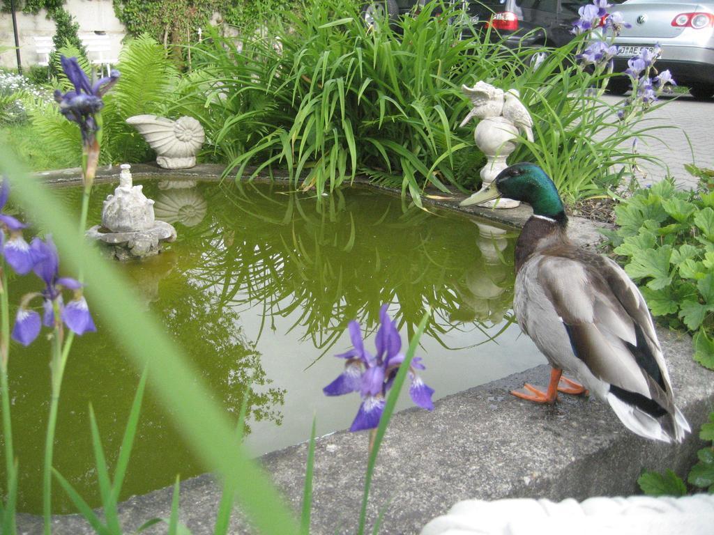 פוטסדאם Schlossgarten Hotel Am Park Von Sanssouci מראה חיצוני תמונה